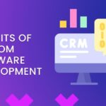 custom software development