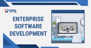 enterprise software development