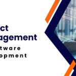 project management in software development
