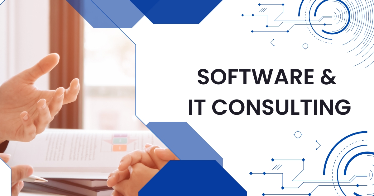 software-it-consulting