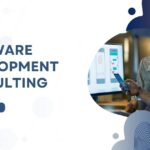 software development consulting