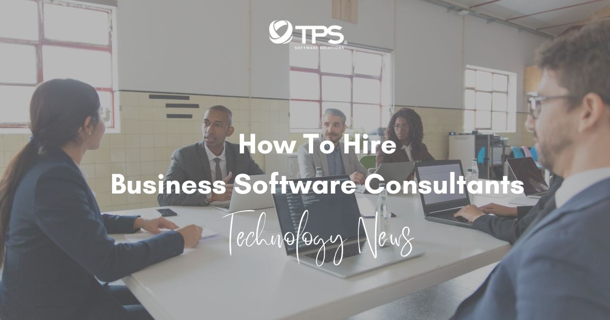hire business software consultants